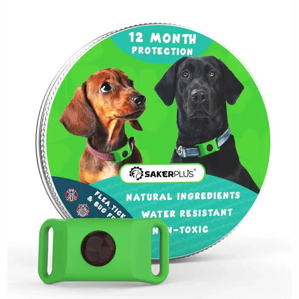 12-Month Flea & Tick Repellent Pendant for Dogs | All-Natural, Waterproof, Chemical-Free