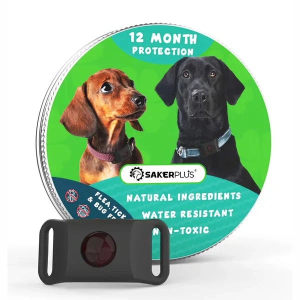 12-Month Flea & Tick Repellent Pendant for Dogs | All-Natural, Waterproof, Chemical-Free