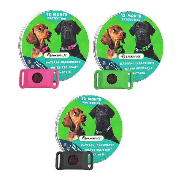 12-Month Flea & Tick Repellent Pendant for Dogs | All-Natural, Waterproof, Chemical-Free
