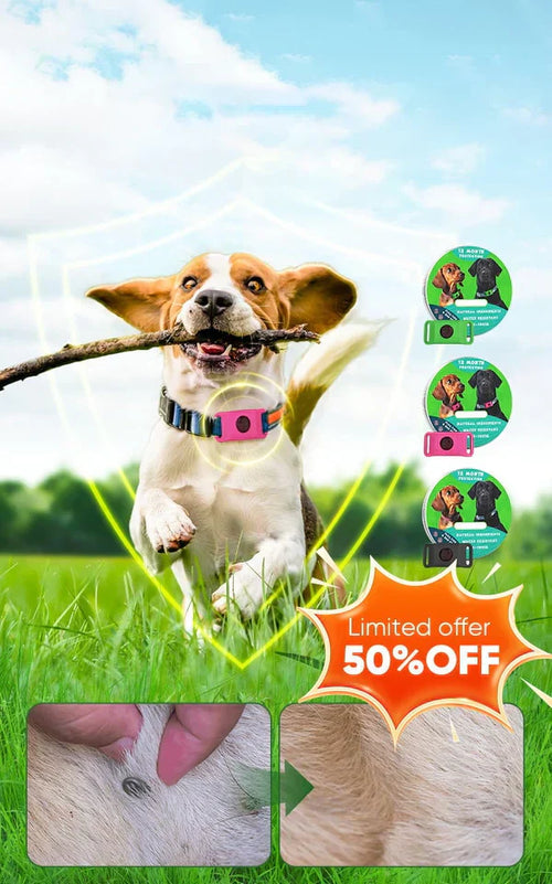 12-Month Flea & Tick Repellent Pendant for Dogs | All-Natural, Waterproof, Chemical-Free